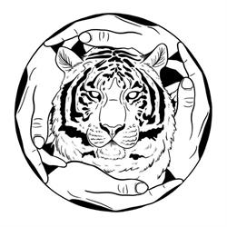 Sammy Long, Registered Acupuncturist, Victoria, BC opening hours