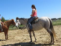 Pine Haven Quarter Horses, Plantagenet, ON opening hours
