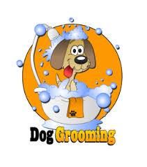 Grooming by Danielle, Stoney Creek, ON opening hours