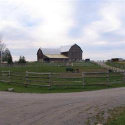Barn View Stables, Keene, ON opening hours