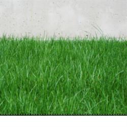 Boxwood Hedge And Yardcare, Nanaimo, BC opening hours
