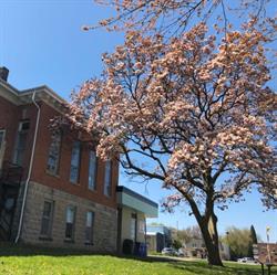 Wallaceburg Adult Activity Center, opening hours
