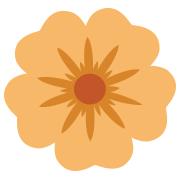 Bloom Family Child Care, Mount Pearl, NL opening hours