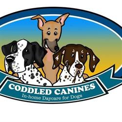 Coddled Canines In-home Daycare for dogs, Surrey, BC opening hours