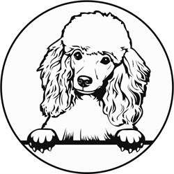 Many Legs Pet Grooming & Supplies Inc., Bragg Creek, AB opening hours