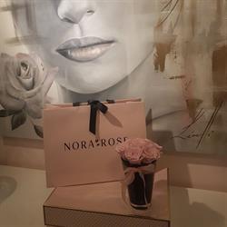 Nora Rose, Chicoutimi, QC opening hours