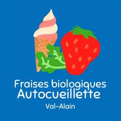 Ferme Matto-Val, Val-Alain, QC opening hours