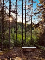 Nine Mile River Trails Association, opening hours