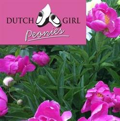 Dutch Girl Peonies, Beasley, BC opening hours