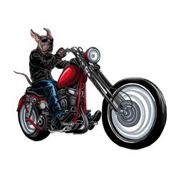 Unleashed Cycle & Sled, Edmonton, AB opening hours