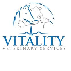 Vitality Veterinary Services PC Ltd, Yorkton, SK opening hours