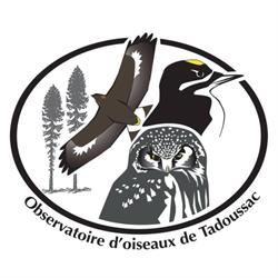 Observatoire d'oiseaux de Tadoussac, Grandes-Bergeronnes, QC opening hours