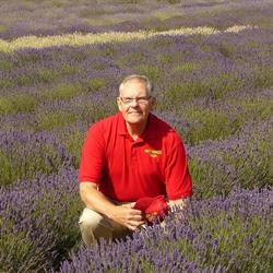 Brotherhood Tours, Cobourg, ON opening hours
