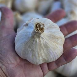 Sunrise Orchards and Produce, Smooth Rock Falls, ON opening hours