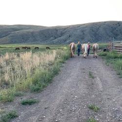 Lopez Mountain Ranch, Cache Creek, BC opening hours
