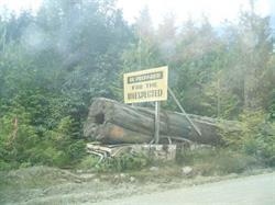 NVI Vacation Rentals & Charters, Port Hardy, BC opening hours