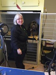 All Breed Pet Grooming by Alfreda, Truro, NS opening hours