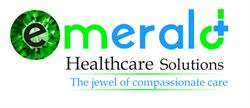 Emerald Healthcare Solutions Inc., Toronto, ON opening hours