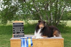 Wyndenfog Boarding Kennel and Dog Obedience Training, Head of Chezzetcook, NS opening hours