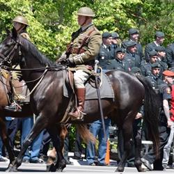 Upper Canada Cavalry, King City, ON opening hours