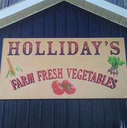 Holliday's Farm Fresh Vegetables, Woodville, ON opening hours