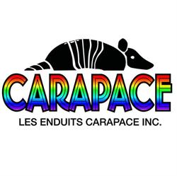 Les enduits carapace, Lévis, QC opening hours