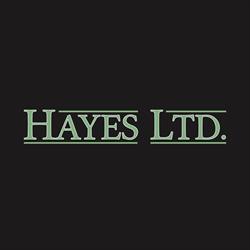 Hayes Ltd, King City, ON opening hours