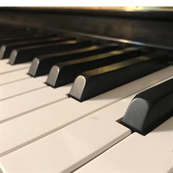 Patricia's Music Studio, Renfrew, ON opening hours