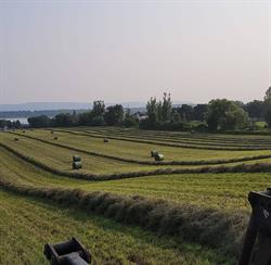 Ferme biologique Bouveret, Saint-Placide, QC opening hours