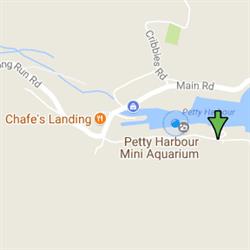 Petty Harbour Carton Loft, opening hours