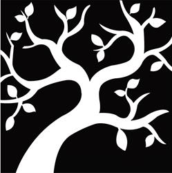 Mangrove Wealth Group, Mississauga, ON opening hours