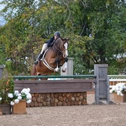 Silver Spring Farm, Caledon East, ON opening hours