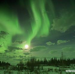 Northern Star Tourist Services, Yellowknife, NT opening hours