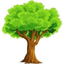 Little Tree Farm, Nut Trees, Fruit Trees and Plant Nursery, New Germany, NS opening hours