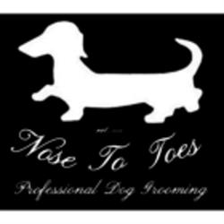 Nose To Toes, Brantford, ON opening hours