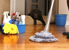 Franglo janitorial & maintenance, Edmonton, AB opening hours