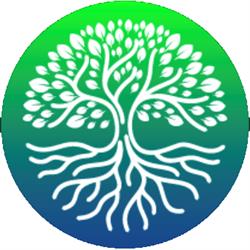 Central Grow City, Scarborough, ON opening hours