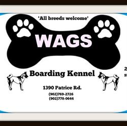 Wags Boarding Kennels, Church Point, NS opening hours