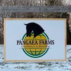 Pangaea Farms, McKees Mills, NB opening hours