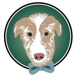 Finns K9 Obedience, Woodbridge, ON opening hours