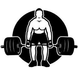 MuscleLead Fitness, Etobicoke, ON opening hours