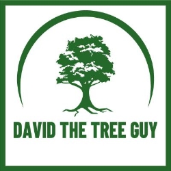 David the Tree Guy, Edmonton, AB opening hours