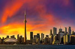 Pestica Pest Control Toronto, Mississauga, ON opening hours