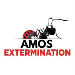 Amos Extermination, opening hours