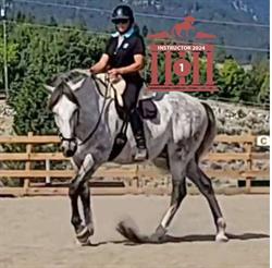 Adiva Murphy Horsemanship, Kamloops, BC opening hours