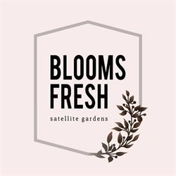Blooms Fresh, Ancaster, ON opening hours