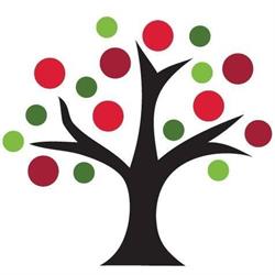 Thrive Live Blood Microscopy, Essex, ON opening hours
