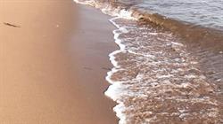 North Shore Psychological Services, Stellarton, NS opening hours