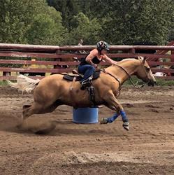 Red Dot Ranch Supplies, Cranbrook, BC opening hours