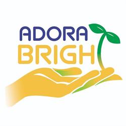 Adora Bright Pediatric Therapy Services, Richmond Hill, ON opening hours